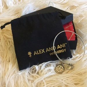 Alex and Ani Bracelet